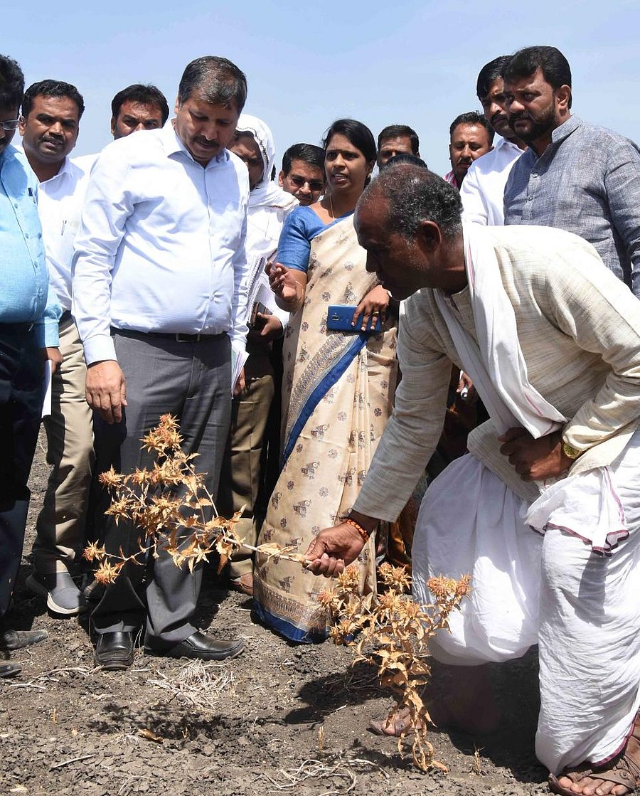 The Central drought study team arrived in Dharwad on Wednesday to study the impact of drought during the rabi season. DH photo.