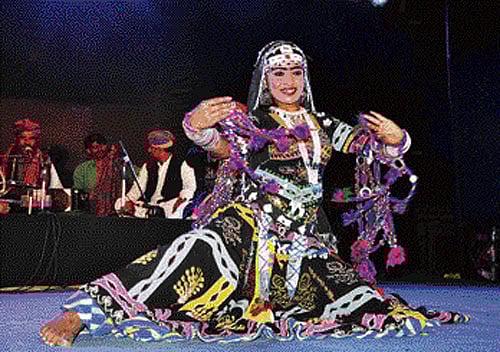 Welfare plan for captive elephants