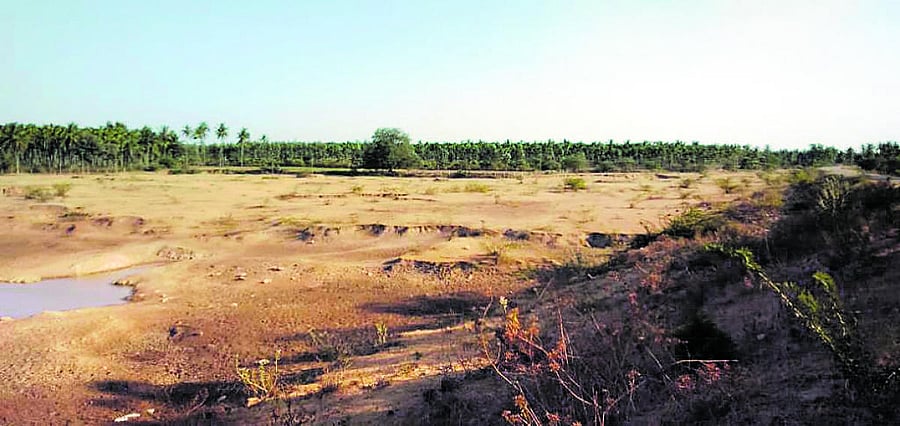 A view of Baggavalli lake in Ajjampura.