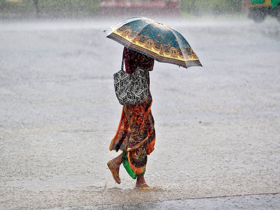 Rains and floods claimed two lives in Tamil Nadu, while a flood warning was issued for people living on the banks of two rivers in Kanyakumari district. PTI file photo