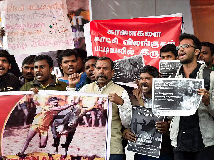 Delhi Tamil Students & Youngsters shout slogan during a protest against People for the Ethical Treatment of Animals (PETA) and the ban on Jallikattu in New Delhi on Thursday. PTI Photo