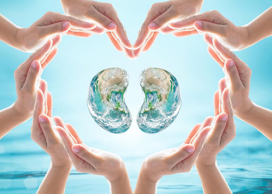 World Kidney Day