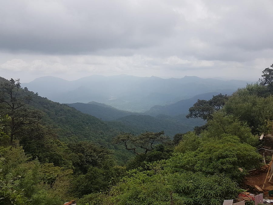A view of Kodachadri hill range from the peak. Photo by Author