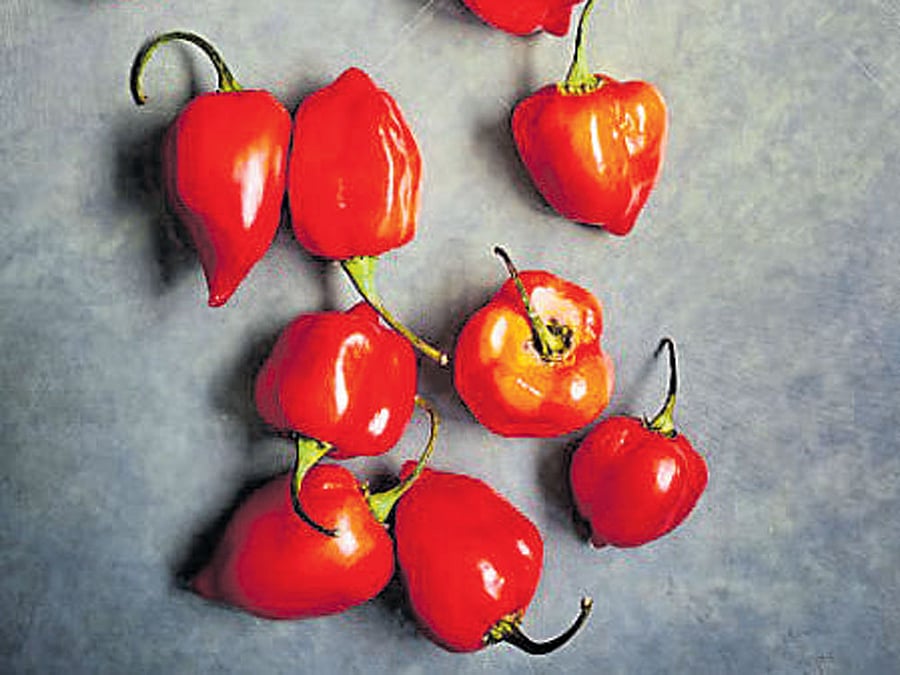 Chili's to heat up South Indian market