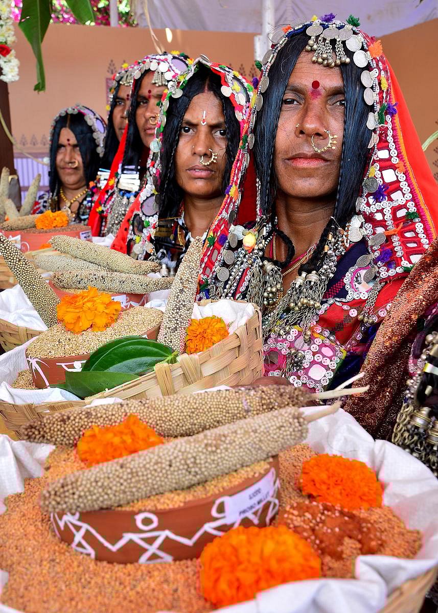 Suggi Huggi Habba at Lalbagh botanical garden. DH photo