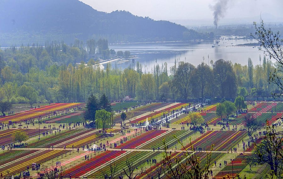 With Tulip and almond bloom expected by end of this month, a considerable increase in permissions being sought for film shoots is being witnessed. PTI file photo