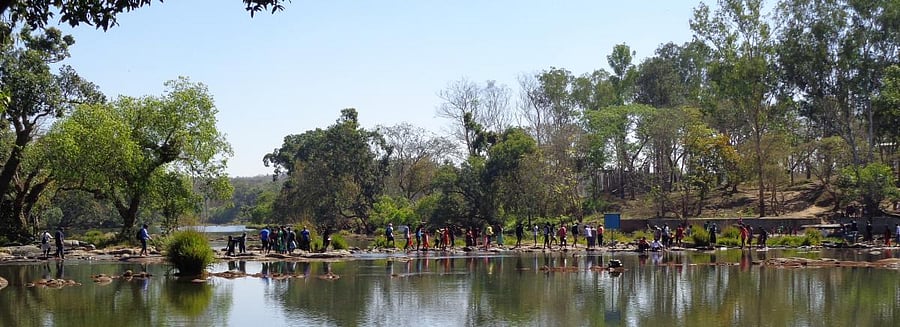 Tourists cross River Cauvery on foot at Dubare camp near Kushalnagar as the water level has come down drastically.