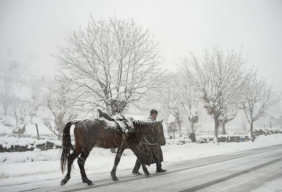 A Kashmiri boy walks with a horse during a snowfall. AFP file photo