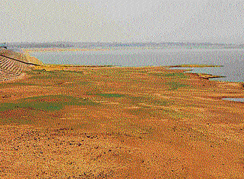 going down: The dipping water level in the Hemavathi reservoir may hit water supply to Hassan town. DH photo