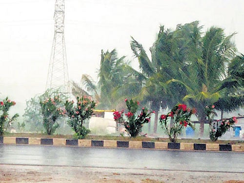 Heavy rain coupled with gusty winds lashed Almatti in Vijayapura taluk on Wednesday. DH Photo