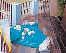 The statue of Mother Mary at the Holy Family Church in Hinkal near Mysore that was desecrated by some miscreants on Sunday night. KPN