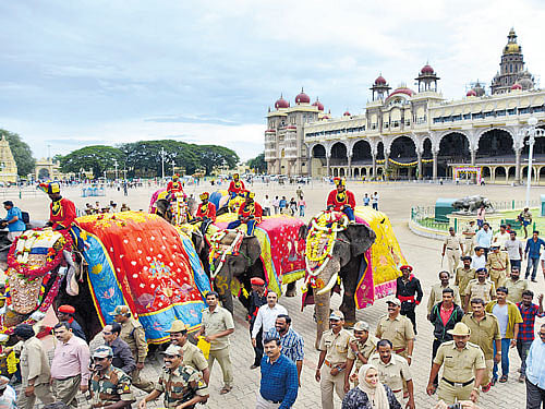 The Dasara events will not be cancelled, but held with slight modifications, according to Mysuru Deputy Commissioner D Randeep. dh file photo