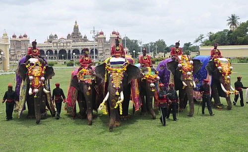 <div class="paragraphs"><p>The Jamboo Savari.</p></div>