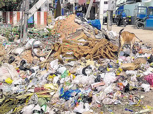 The party has appealed to the public to paste stickers wherever they find garbage. DH file photo