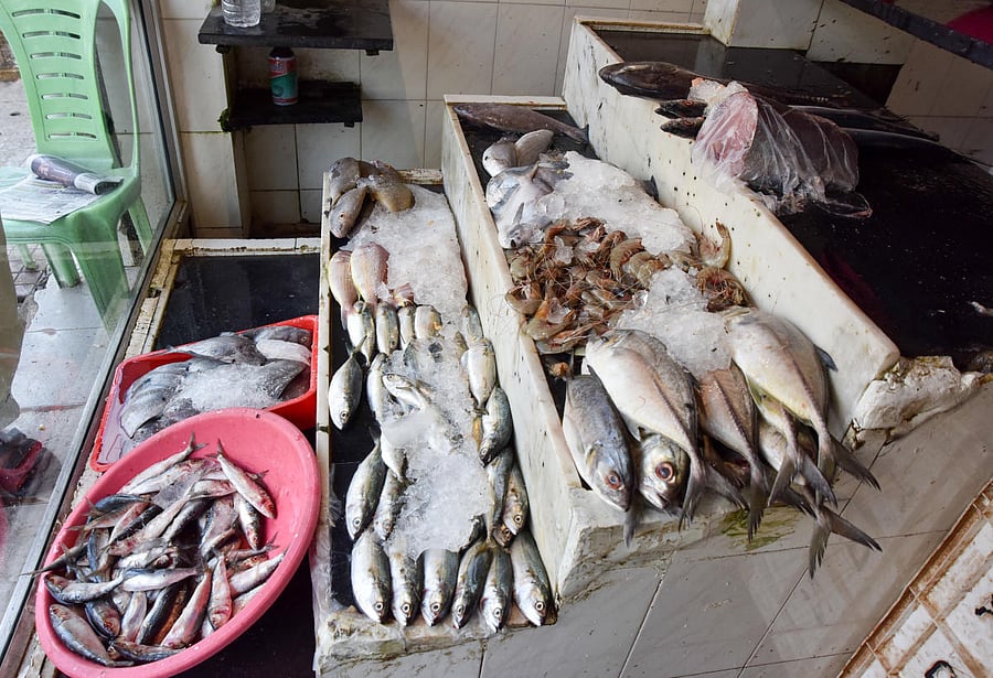 Sea fish covered with ice at an outlet in Mysuru.