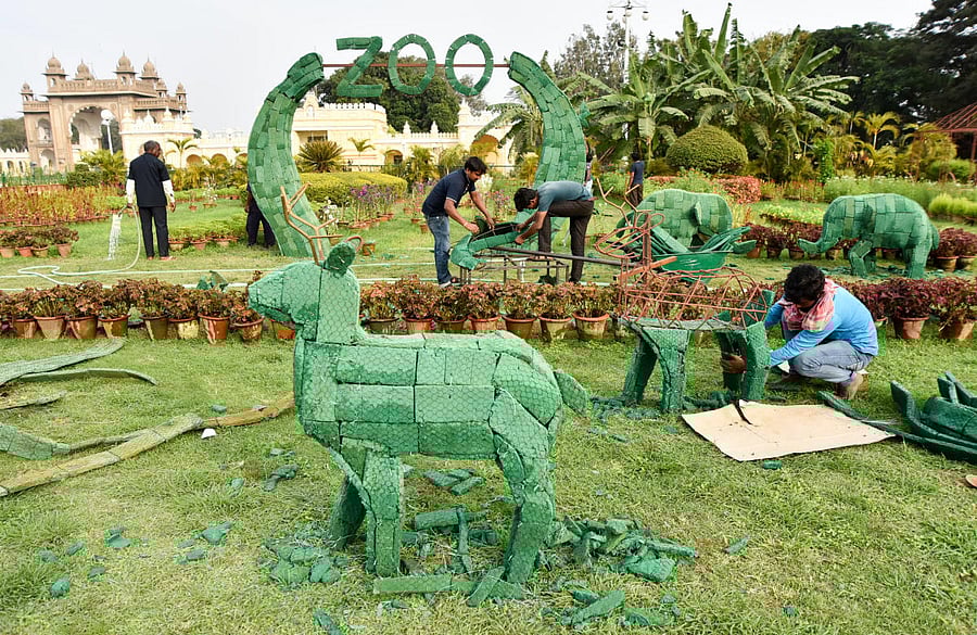Workers make preparations for Winter Festival Flower Show on Mysuru Palace premises.