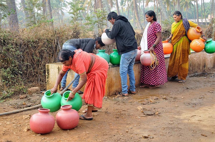Villagers collect water from a cattle pond in Chikkamagaluru.