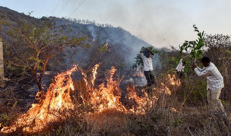 People try to douse fire at Chamundi Hill in Mysuru on Friday. Dh Photo