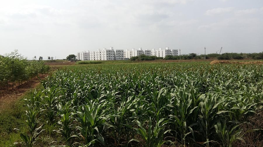 The contrast in the landscape of the capital region that one finds when they enter the capital from Rayapudi is because some handed over the land while others didn’t. DH photo