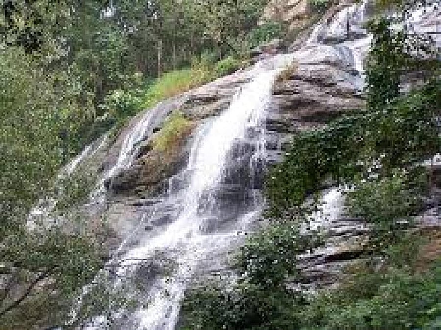 Kiliyur Falls. PHOTOS BY AUTHOR
