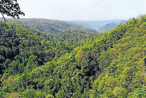 Western Ghats. DH file photo