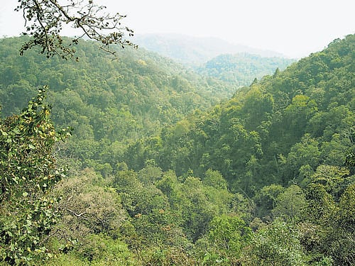 Afghanistan's new rulers have pledged to be more accommodating than during their first stint in power.