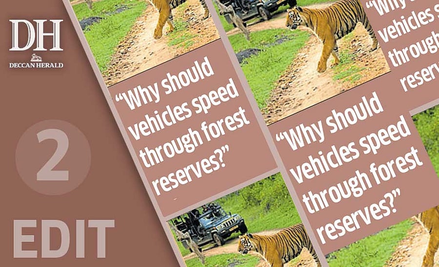 Bandipur night ban: K'taka is right