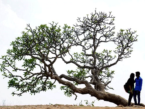 An underage girl, who had eloped with her Facebook friend, has been traced to Alapuzha in Kerala. While the girl has been brought back to Mangalore, the boy has been booked for kidnap. / DH Photo