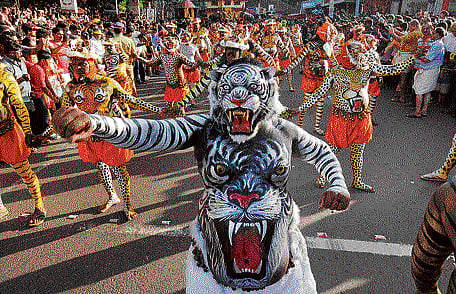 The Pulikali performance staged in Thrissur town on Monday. DH Photo