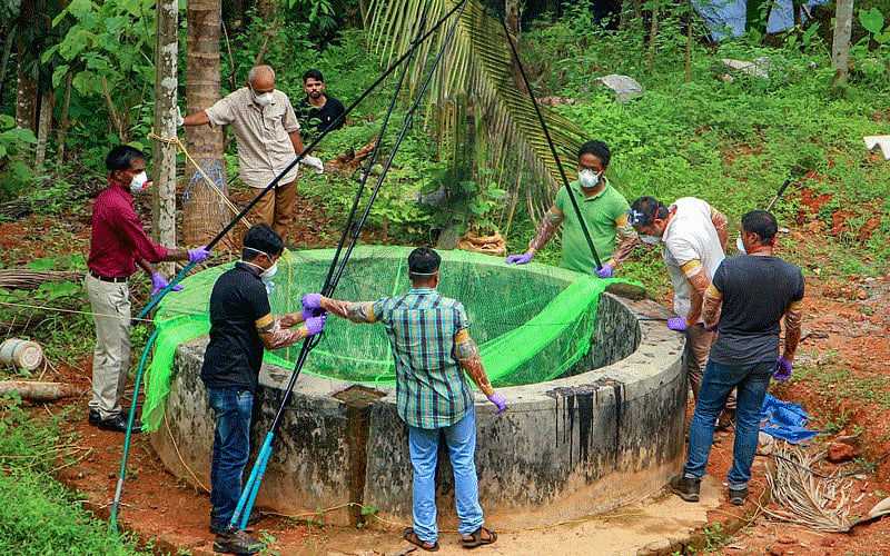 Officials of the animal husbandry and forest departments collect bats from a well of a house after the outbreak of the Nipah Virus near Perambra in Kozhikode, Kerala, on Monday. PTI