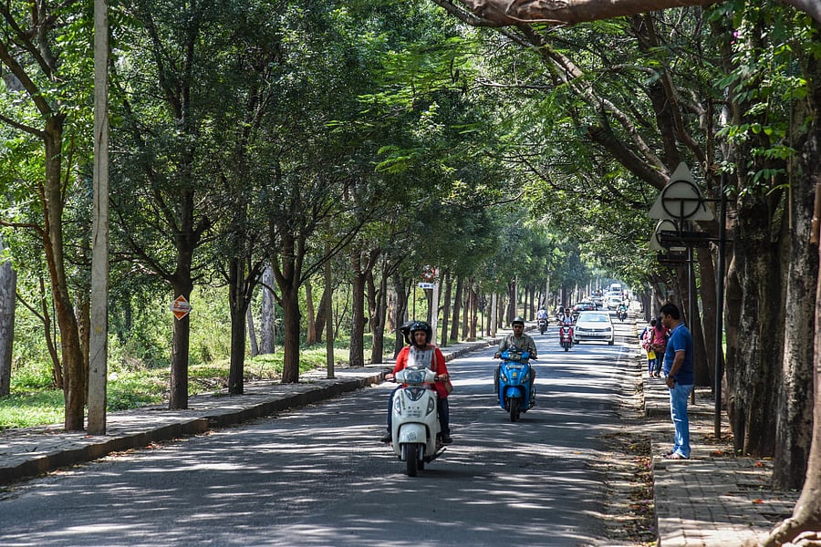 Bangalore University campus road connecting Nagarabhavi to Ullal Upanagara. SPECIAL ARRANGEMENT
