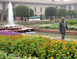 Indian President Pranab Mukherjee looks at flowers in the Mughal Garden's before they open to the public in New Delhi on February 15, 2013. AFP