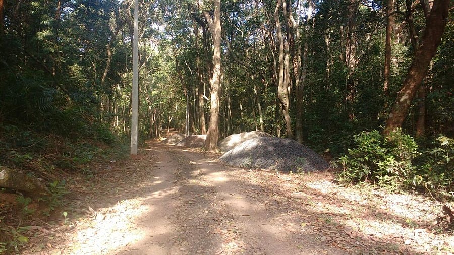 The Kali Tiger Reserve