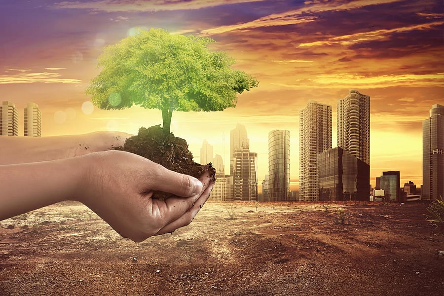 Scientists now estimate that society must urgently come to grips this coming decade to stop the very first human-made biodiversity catastrophe.