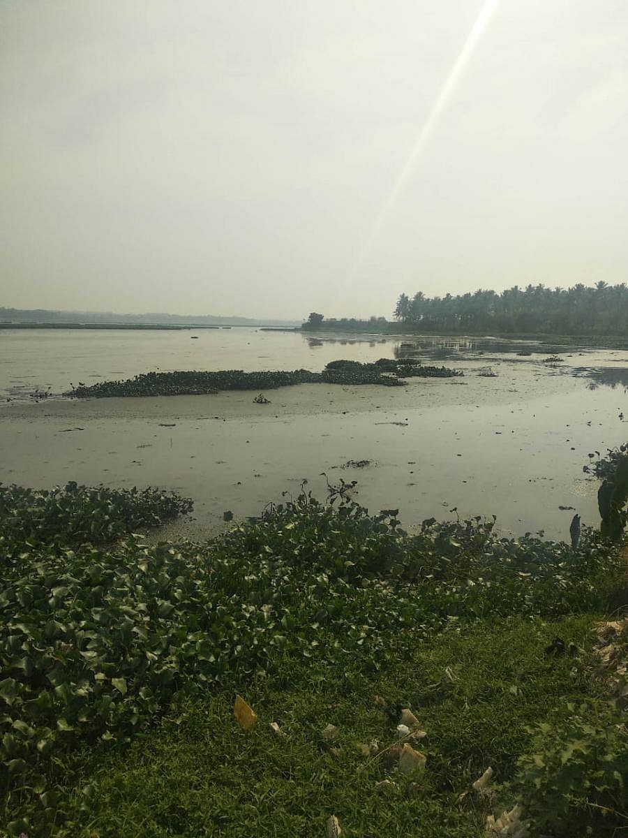 The BDA has begun draining the frothing lake.