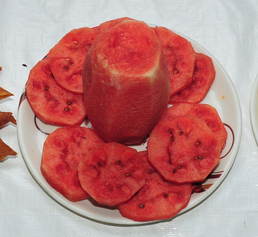 Healthy food, taken in moderation during Ramadan, is beneficial in many ways.