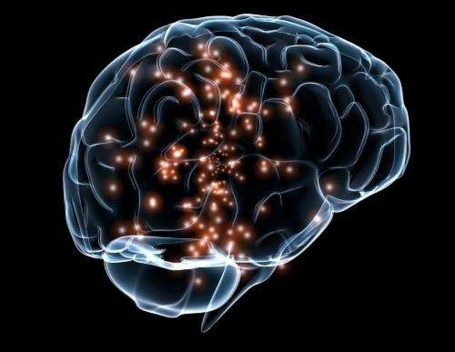 Brain representation.