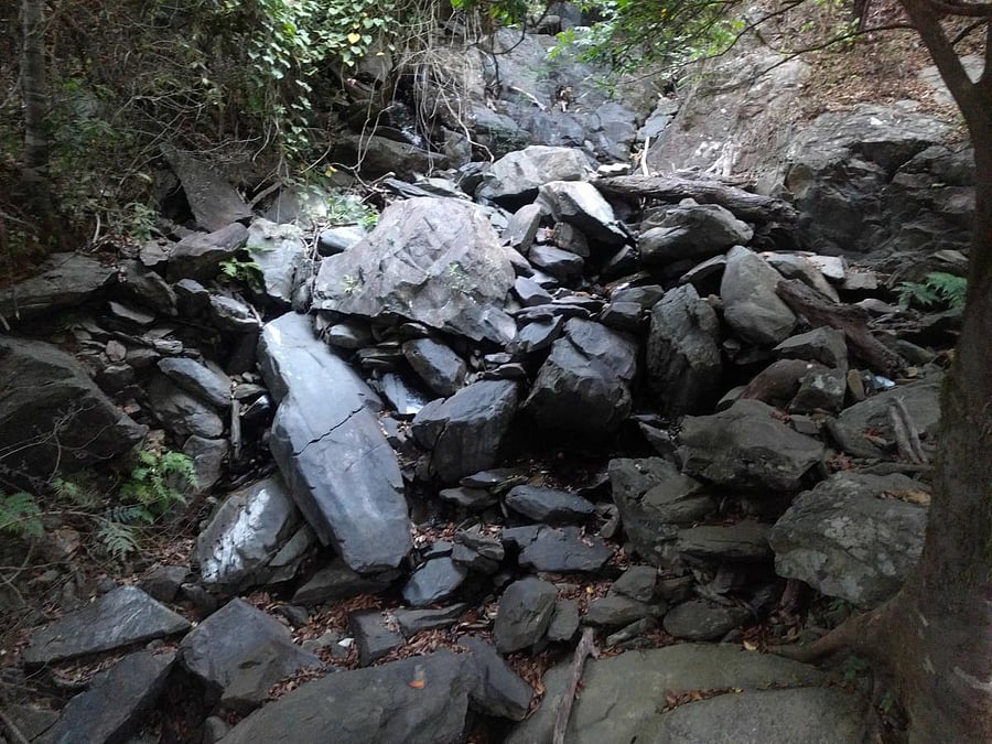 A dried up source of water inside Kudremukh National Park in Kalasa.