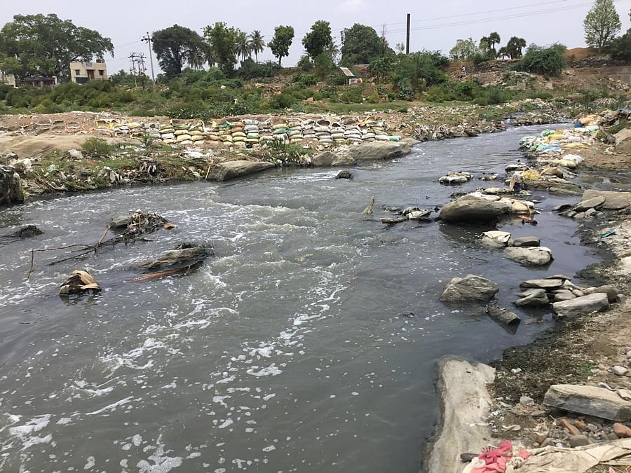 The Cauvery at Erode in Tamil Nadu, where industrial effluents are let into the river directly. dh photos/E T B Sivapriyan