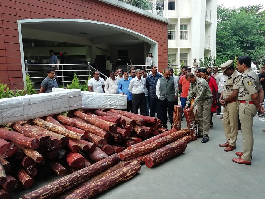 CCB chief Alok Kumar inspects the confiscated red sanders at the police commissioner’s office on Saturday.