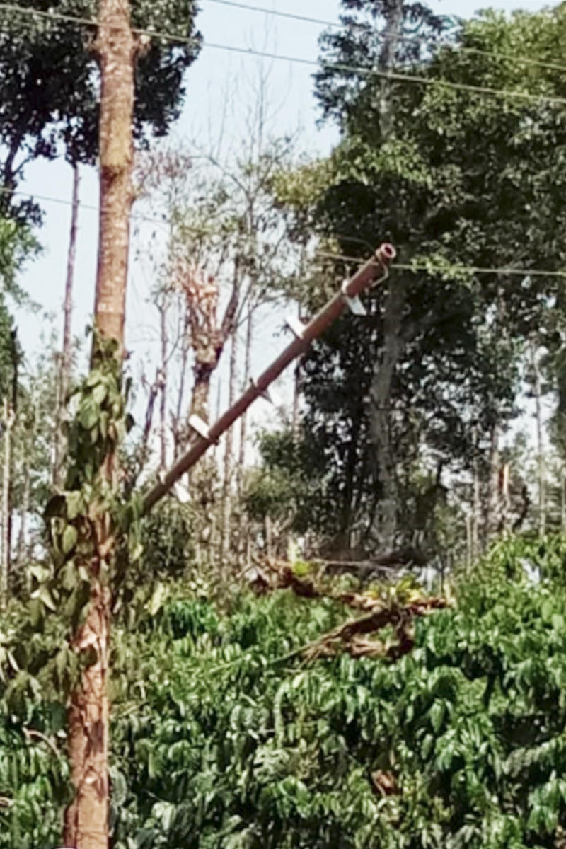 The aluminium ladder in contact with a live wire at Doddapulikotu, Napoklu.