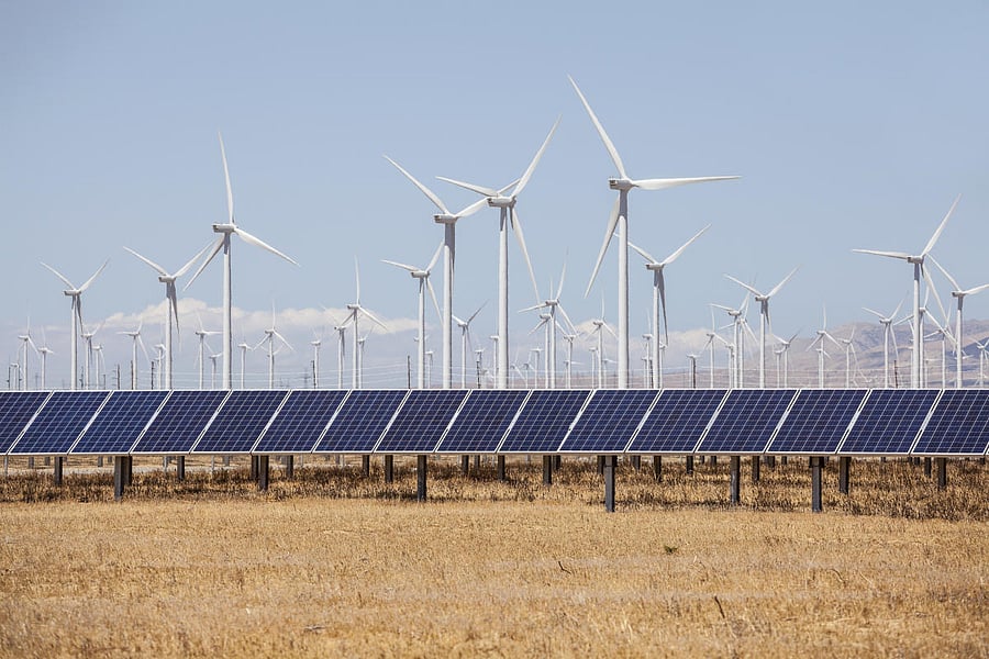 A new study says that migratory birds are dying colliding with blades of wind turbines in India.