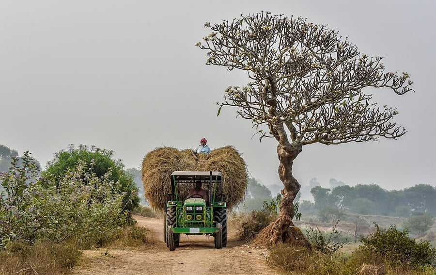Eye on rural development