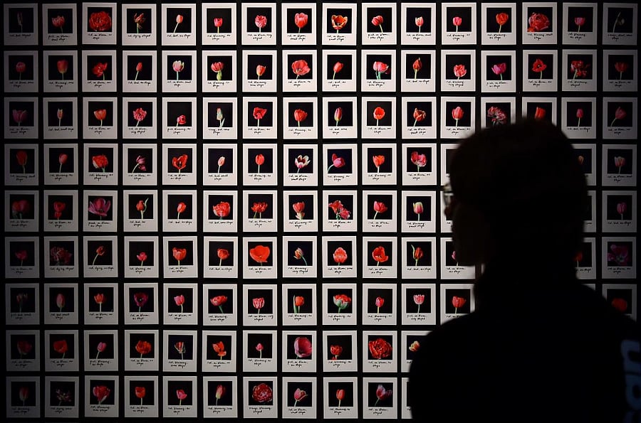 Scientists have created an artificial intelligence (AI) system that can accurately identify whether a student wrote their assignment on their own or got it penned by a ghostwriter. (Photo AFP)