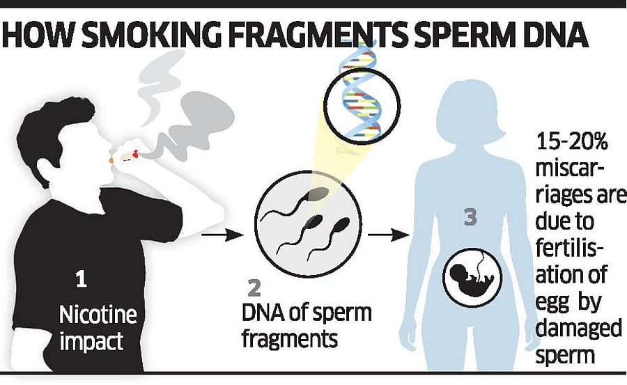 Smoking - DNA sperm