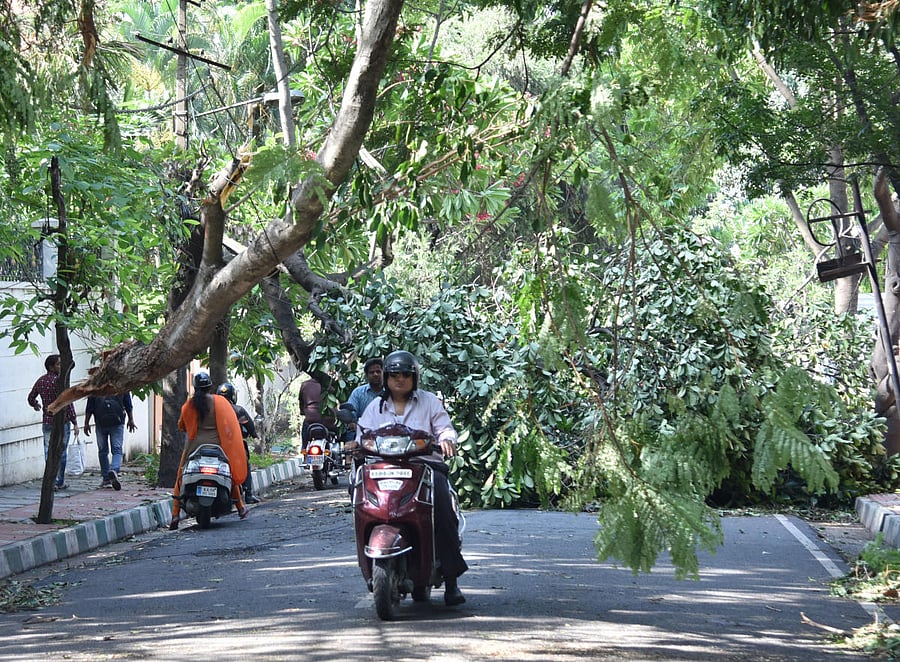 Bumrah missed the T20 World Cup due to a stress fracture on his back
