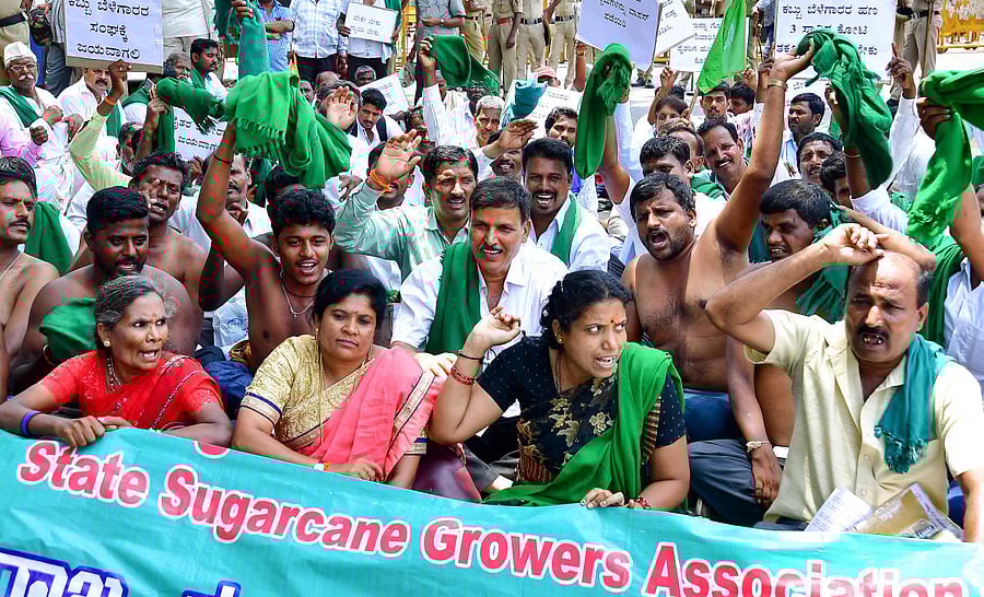 The activists of sugarcane growers association stage a dharna in Freedom Park in Bengaluru demanding the state government ensure payment of arrears from sugar factories, on Tuesday. DH Photo