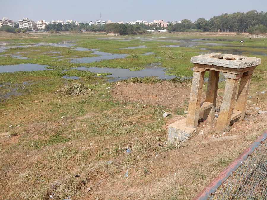 The Lokayukta court directed the authorities to prevent the discharge of effluents into the lake. DH file photo