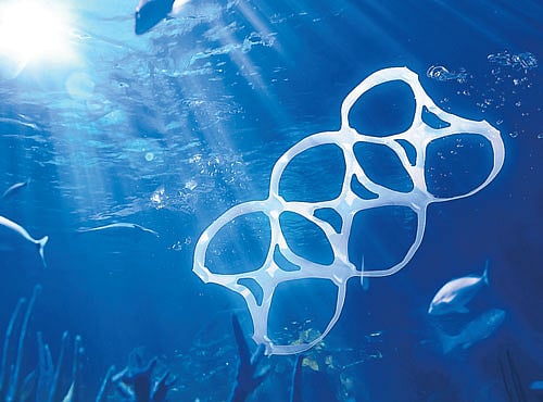 HARMFUL About eight million tonnes of plastic waste is added to the oceans every year.