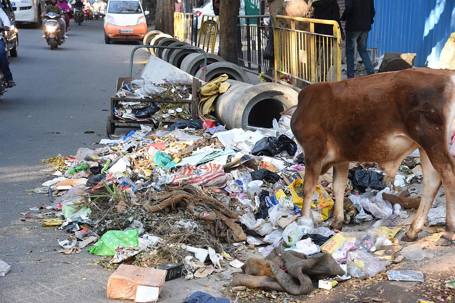 Workers say residents must segregate waste. DH photo